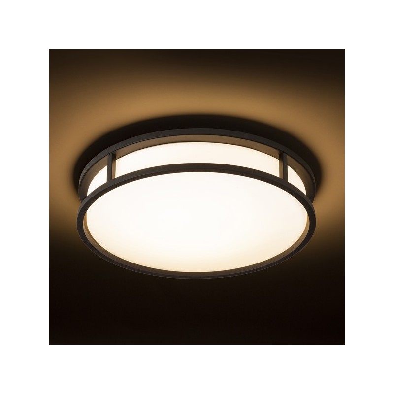 RENDL GRANDE LED 35 stropná opálové sklo/čierna 230V LED 24W IP44 3000K R13679