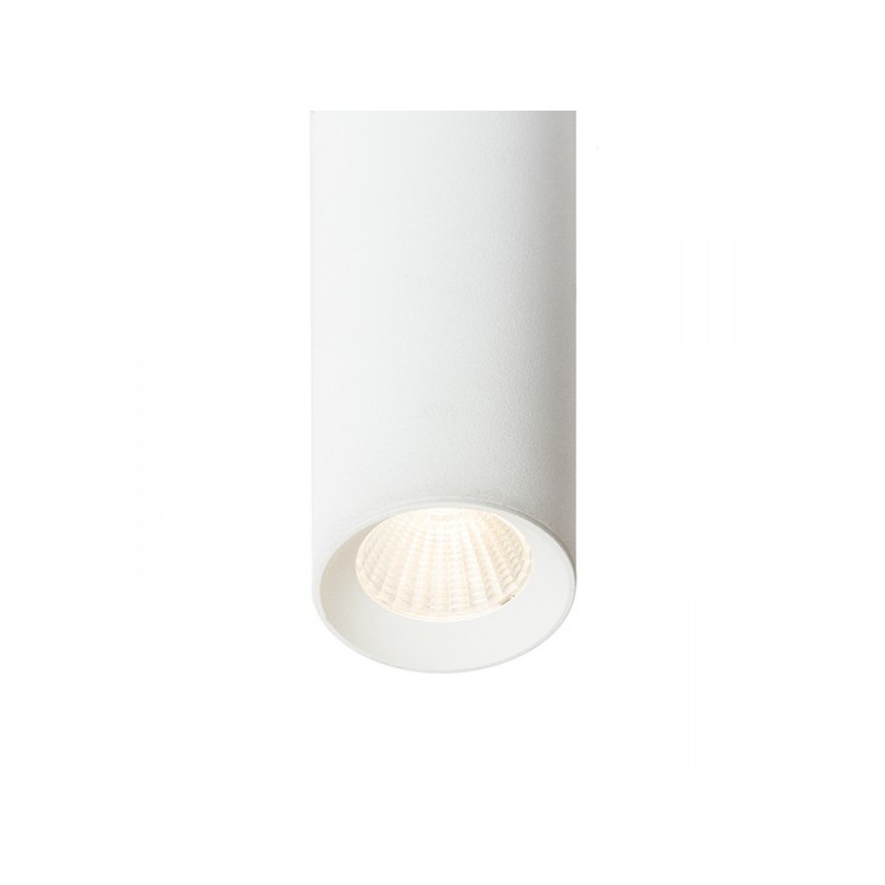 RENDL RIGA 18 stropná biela  230V LED 4W 38°  3000K R12450