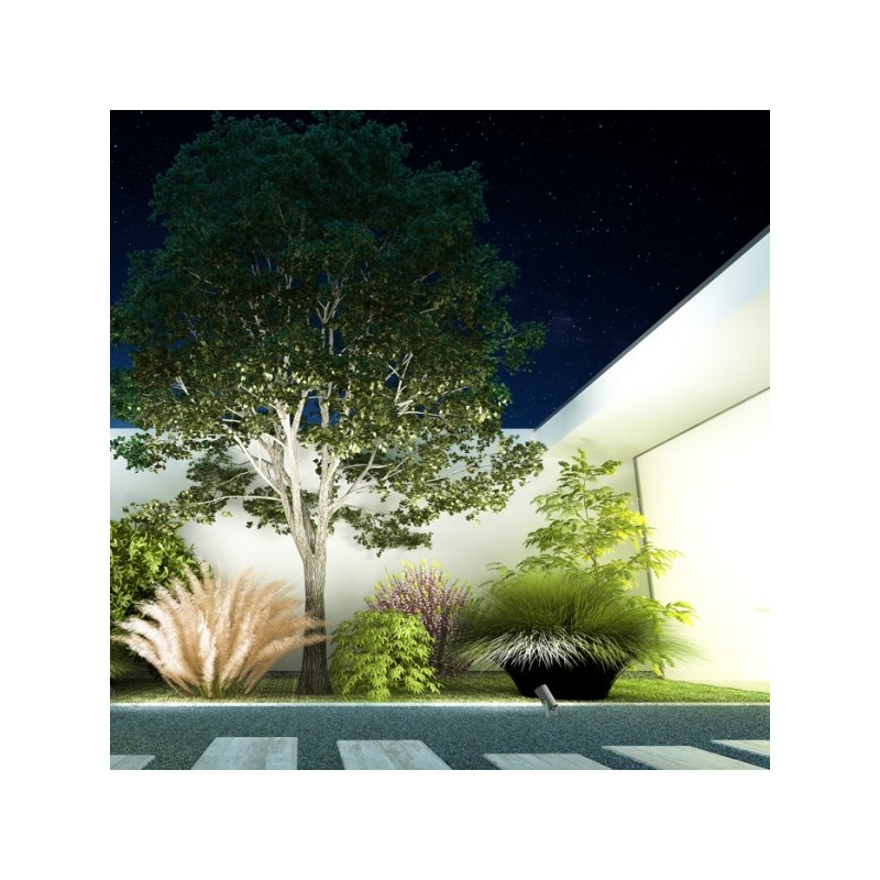 RENDL ROSS vonkajší reflektor antracitová  230V LED 9W 30° IP65  3000K R11754