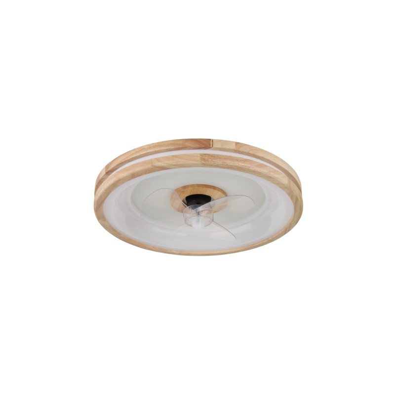 Globo 03650