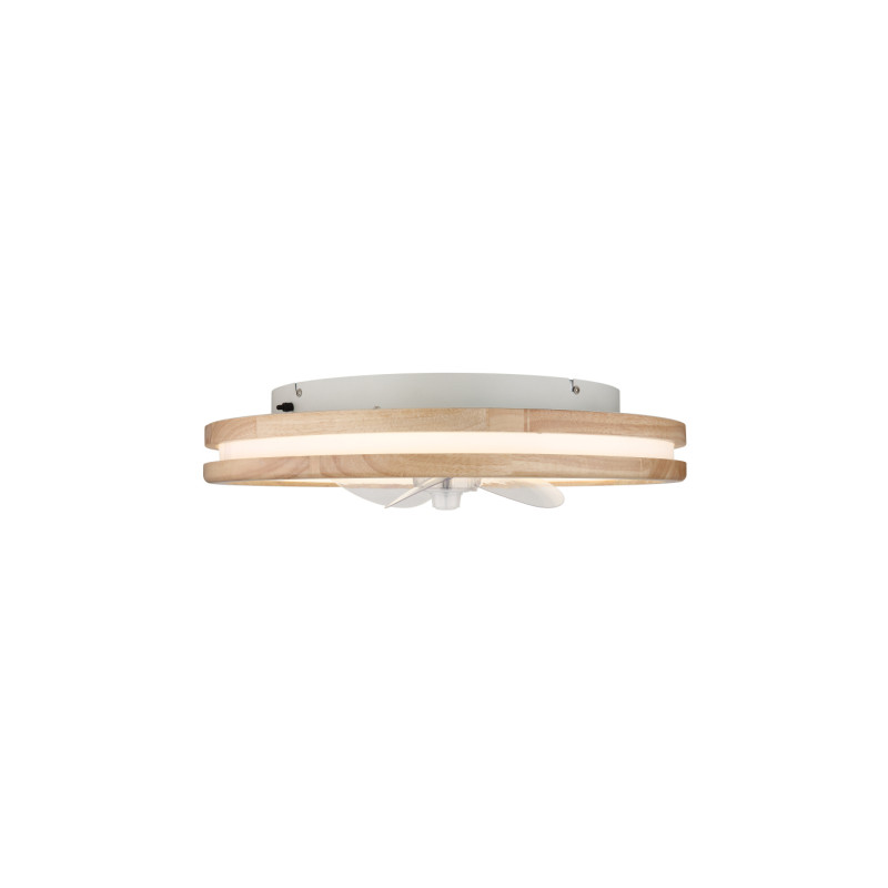 Globo 03650