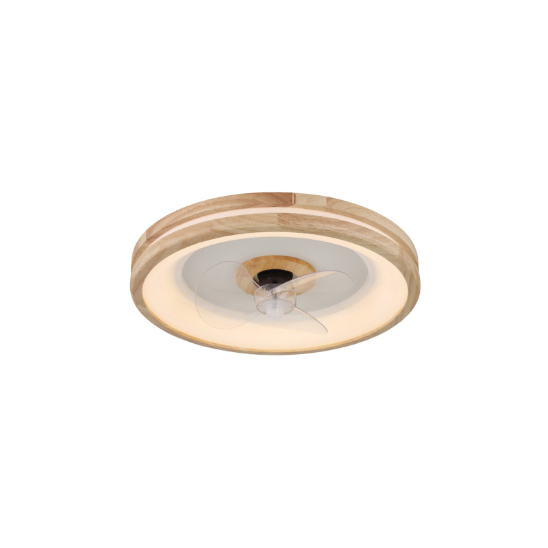 Globo 03650