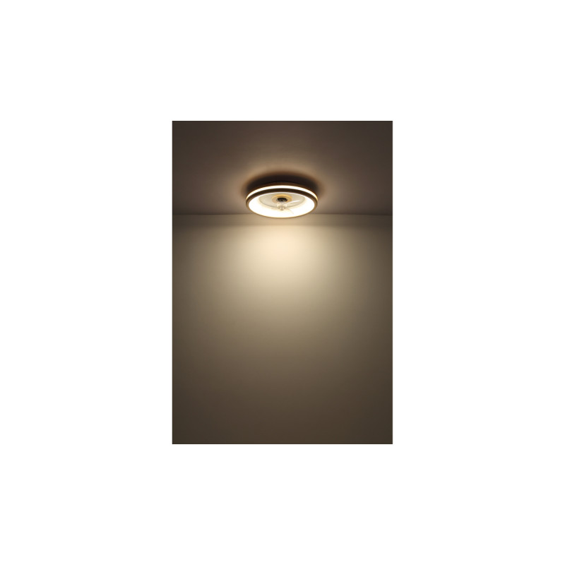 Globo 03650