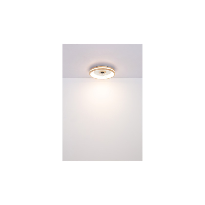 Globo 03650