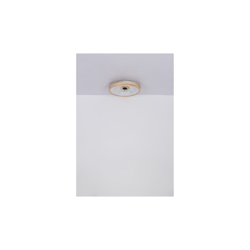 Globo 03650