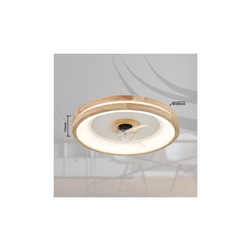 Globo 03650