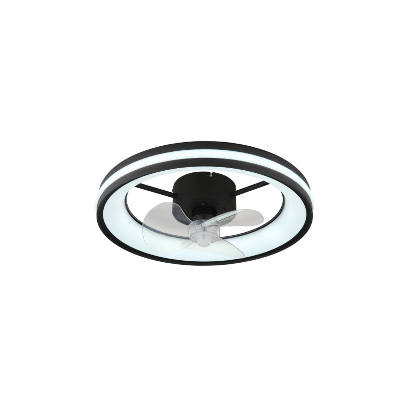 Globo 03651