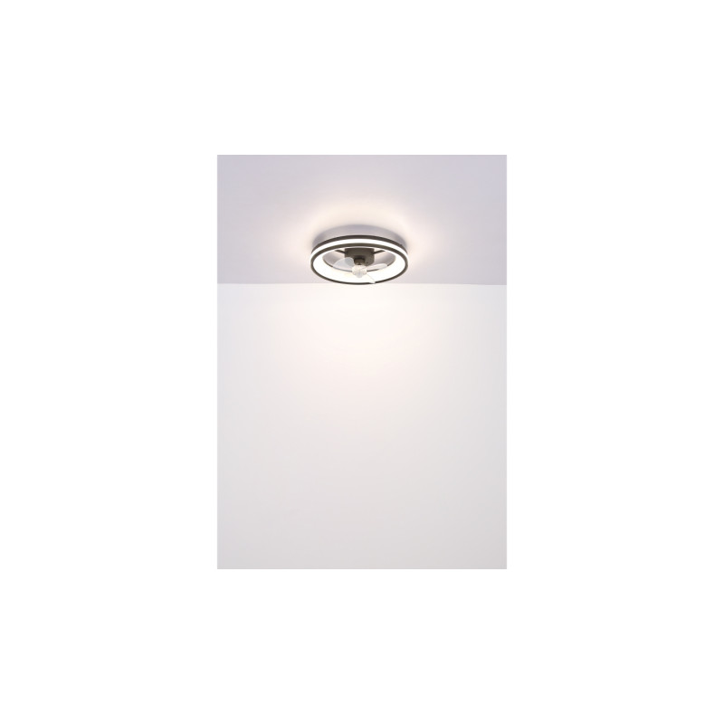 Globo 03651