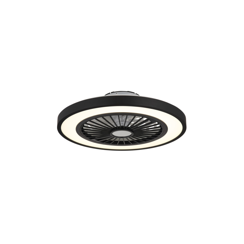 Globo 03653