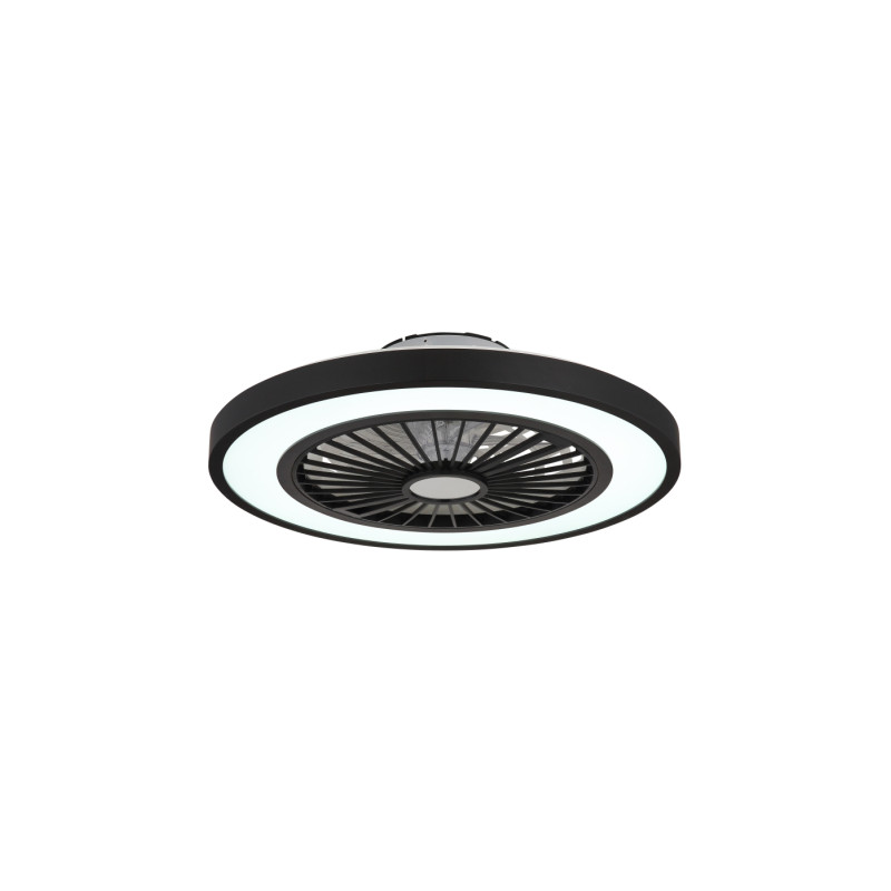 Globo 03653