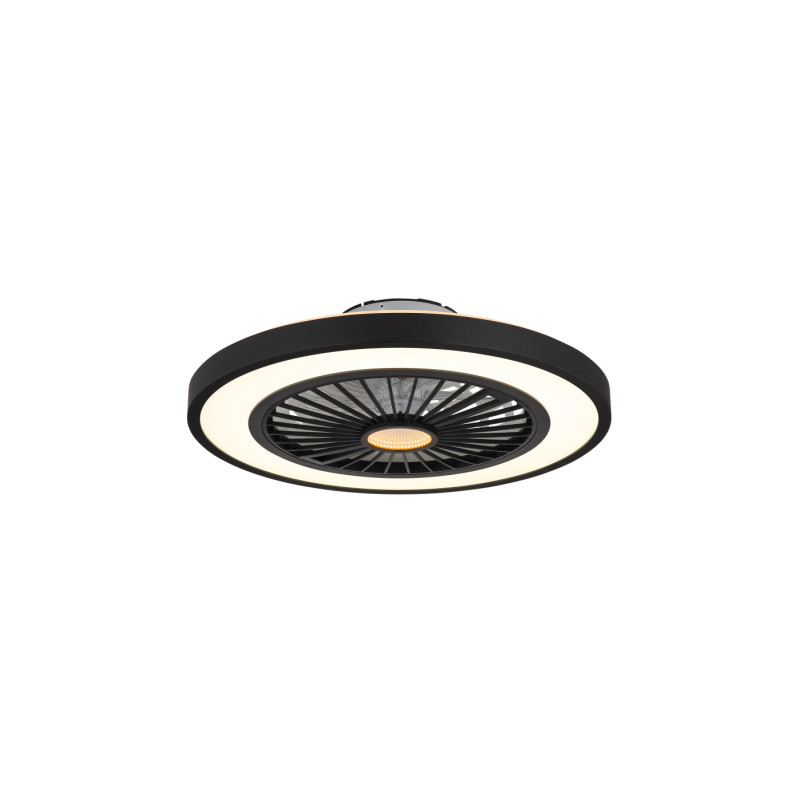 Globo 03653