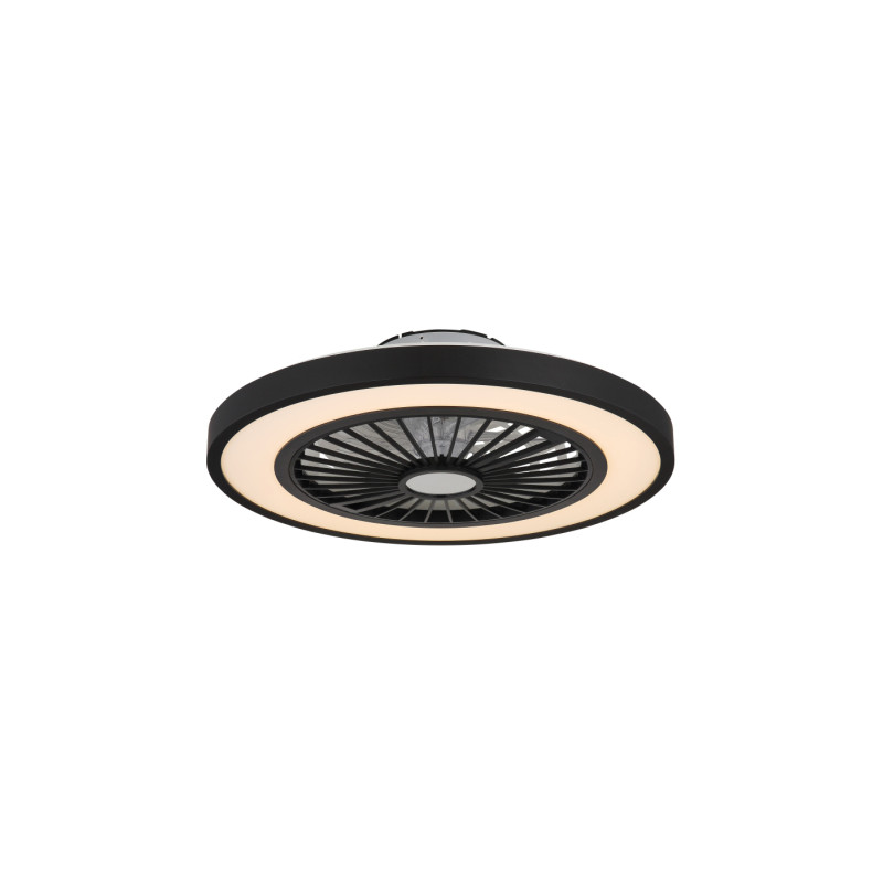 Globo 03653