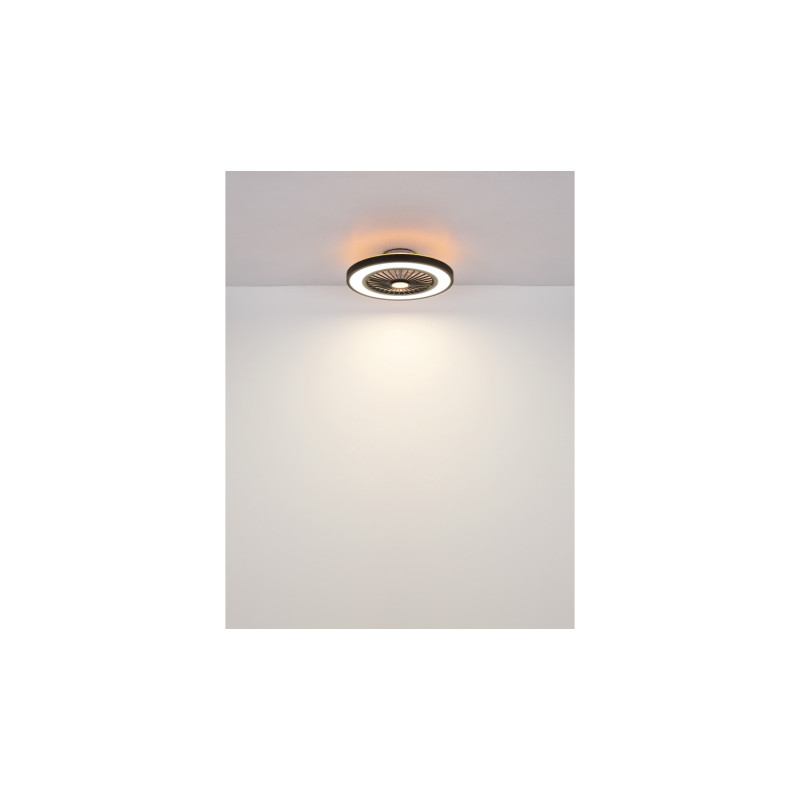 Globo 03653