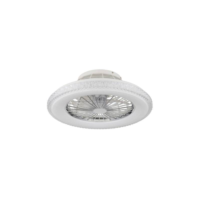 Globo 03654