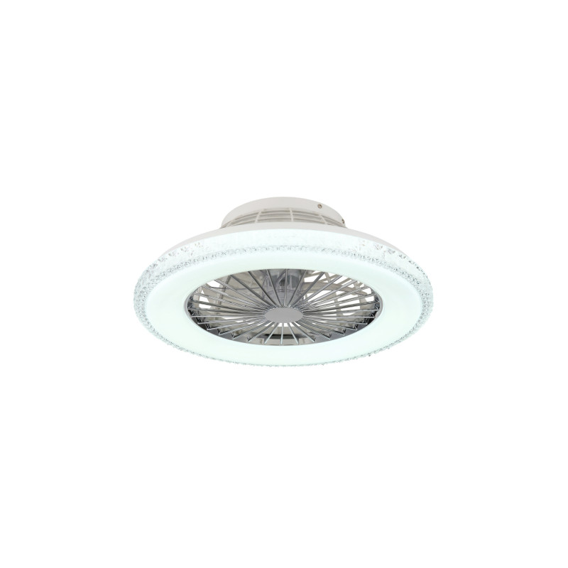 Globo 03654