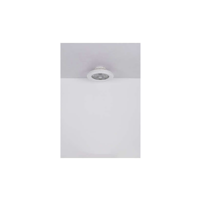Globo 03654