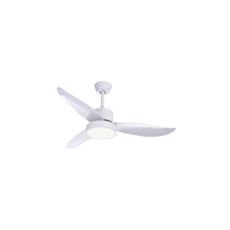 Globo 03600