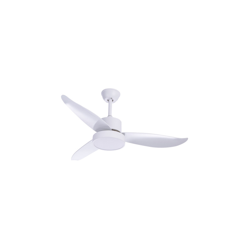 Globo 03600