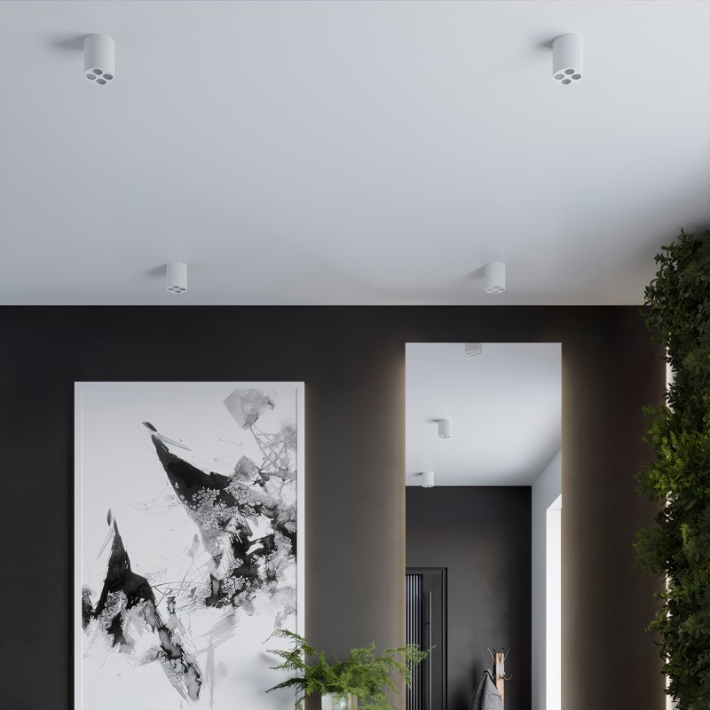 Sollux Stropné svietidlo ZOE white LED