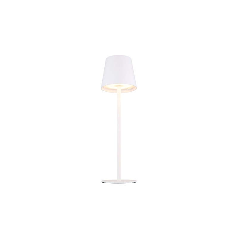 Globo 58438W
