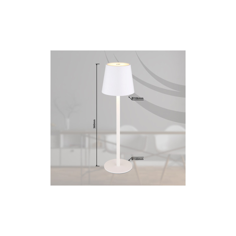 Globo 58438W