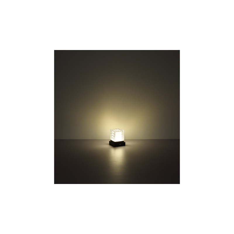 Globo 21009S