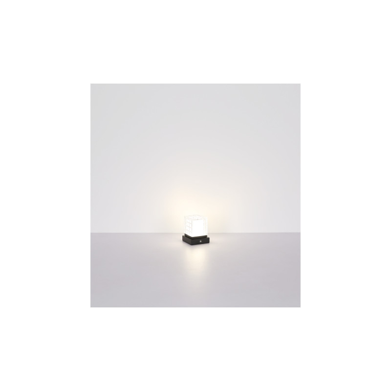 Globo 21009S