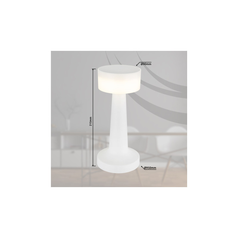 Globo 58447W