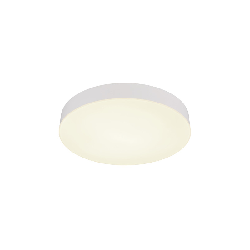 Globo 12384-24W