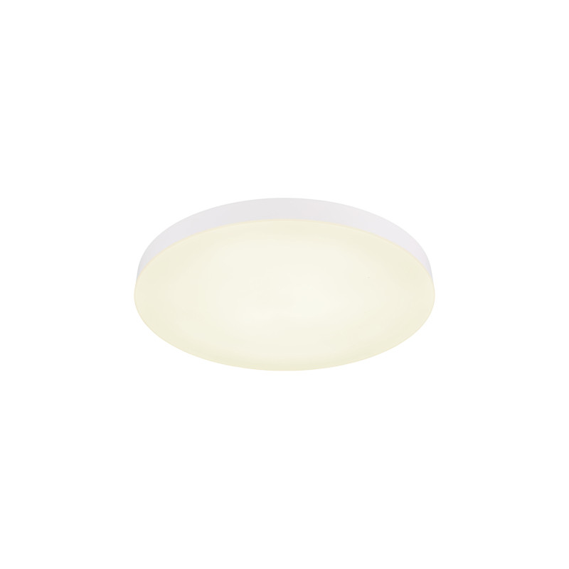 Globo 12384-50W