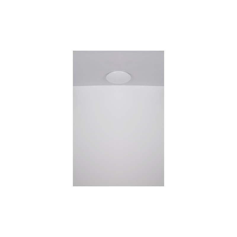 Globo 41261-24