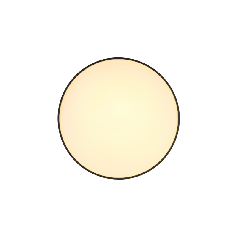 Globo 41262-24