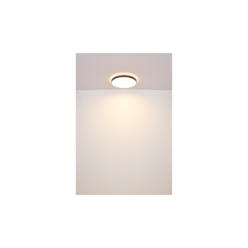 Globo 41262-24