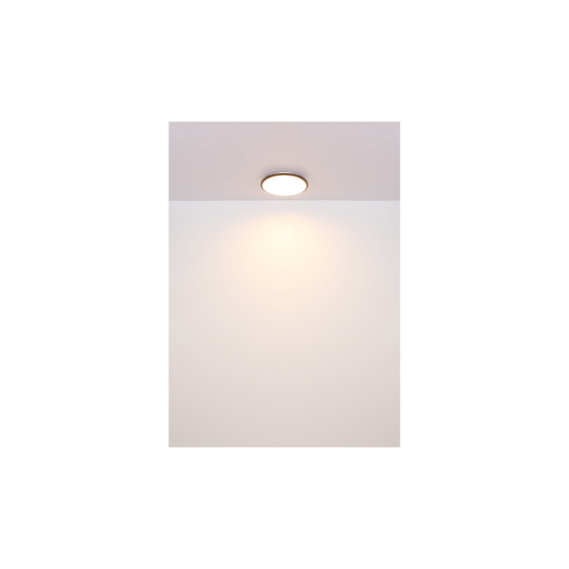 Globo 41569-18B