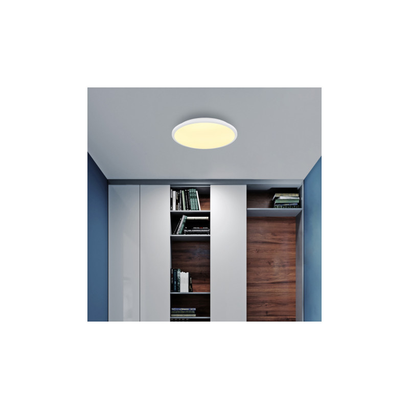 Globo 41569-18W
