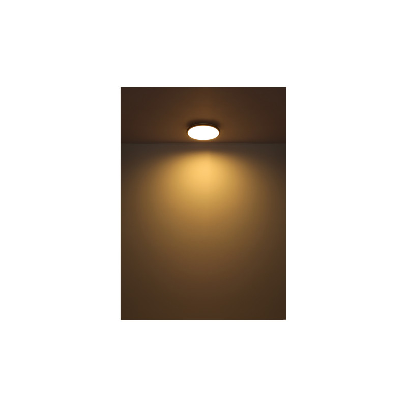 Globo 41569-18W