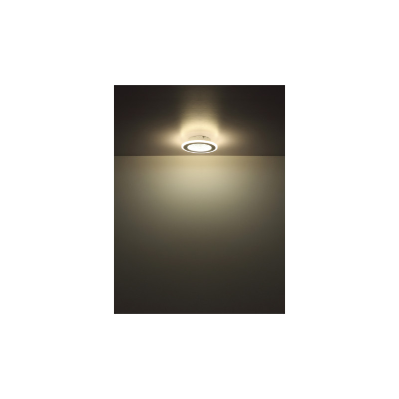 Globo 48919-12R