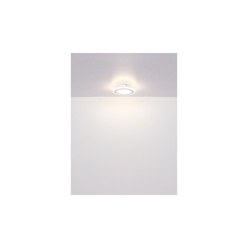 Globo 48919-12R