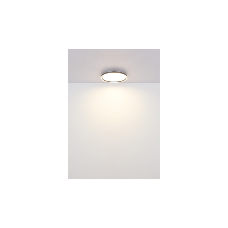 Globo 48802-38
