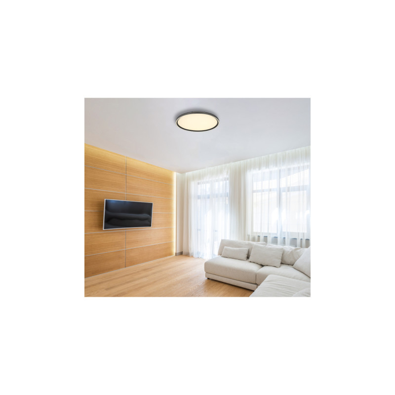 Globo 48802-48