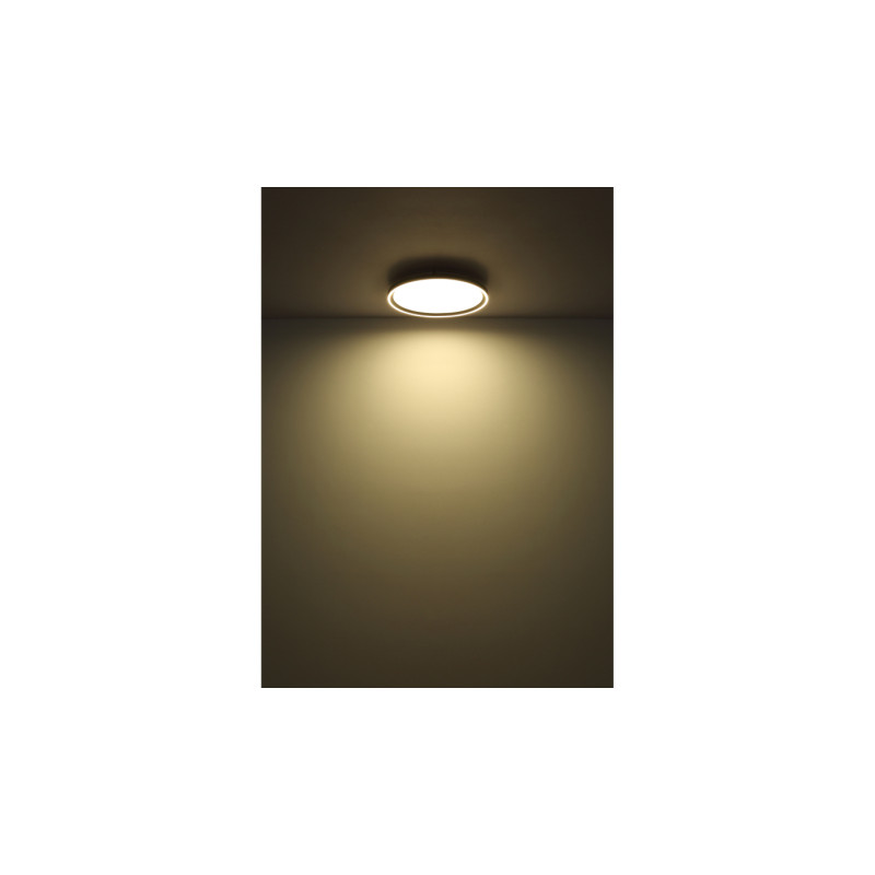 Globo 48802-48