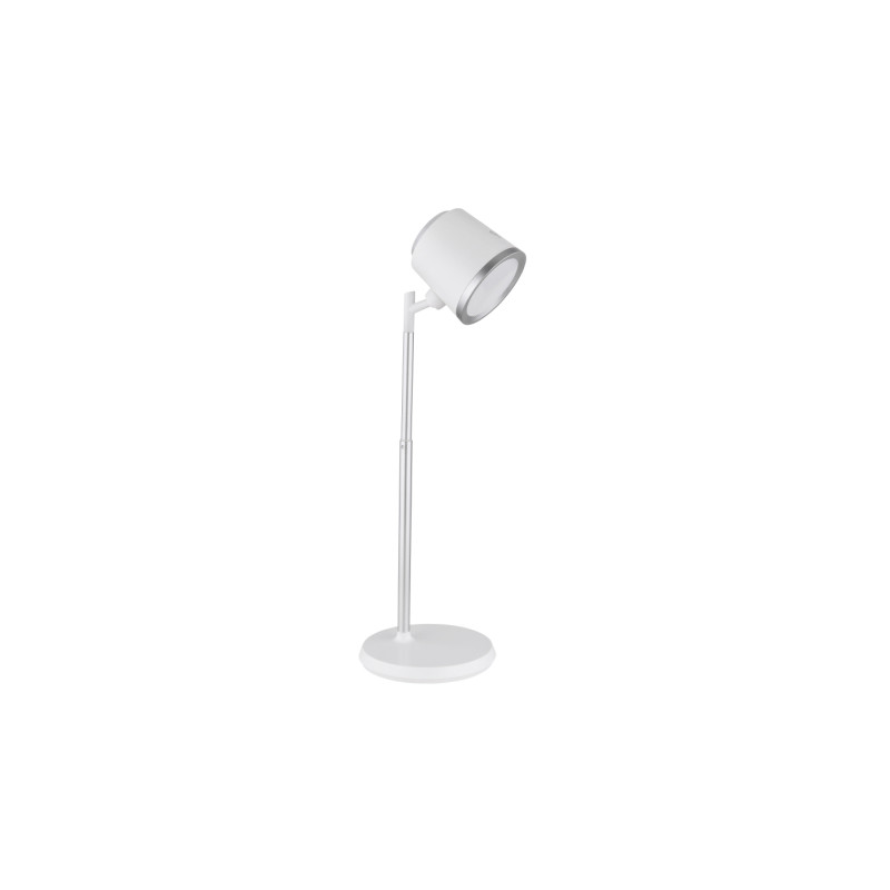Globo 58454W