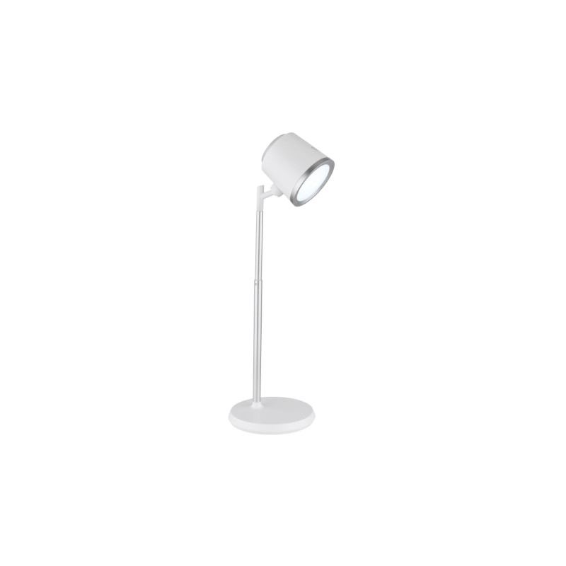 Globo 58454W
