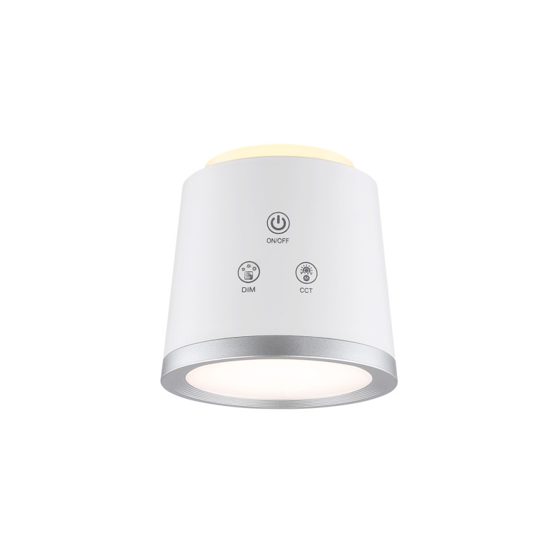 Globo 58454W