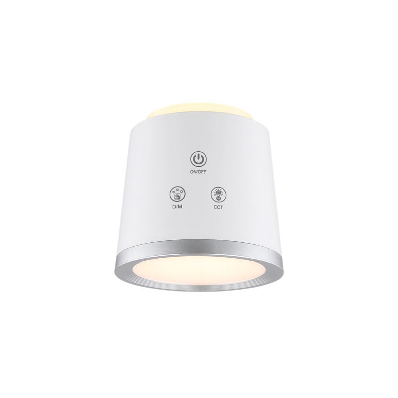Globo 58454W