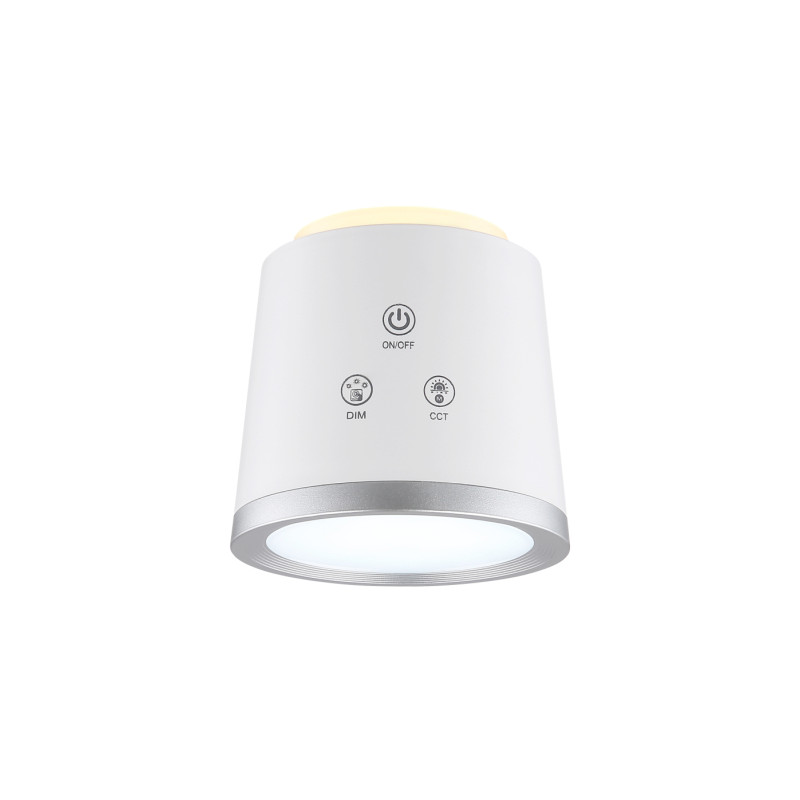 Globo 58454W