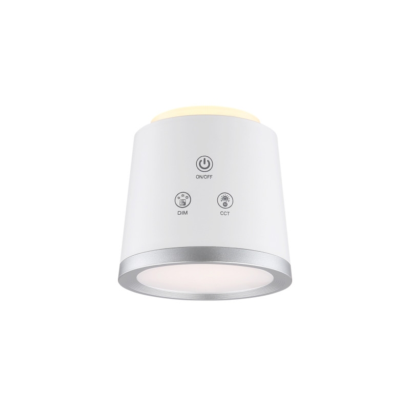 Globo 58454W