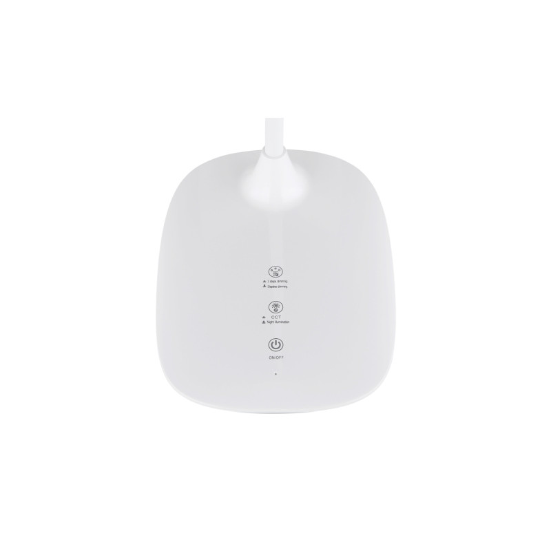 Globo 58455W