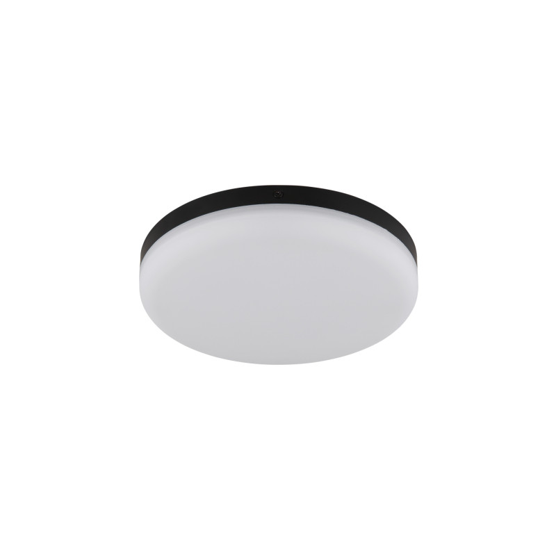 Globo 12387-18
