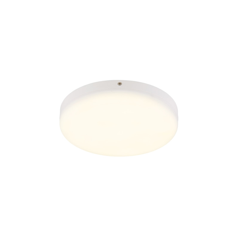 Globo 12387-18W